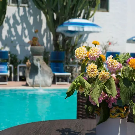 In Bb - Ischia, Forio With A Breathtaking View, Above The Poseidon Gardens *