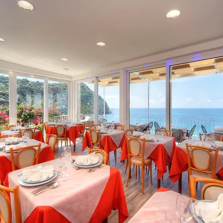 In Bb - Ischia, Forio With A Breathtaking View, Above The Poseidon Gardens * Ischia