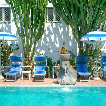 In Bb - Ischia, Forio With A Breathtaking View, Above The Poseidon Gardens Ischia